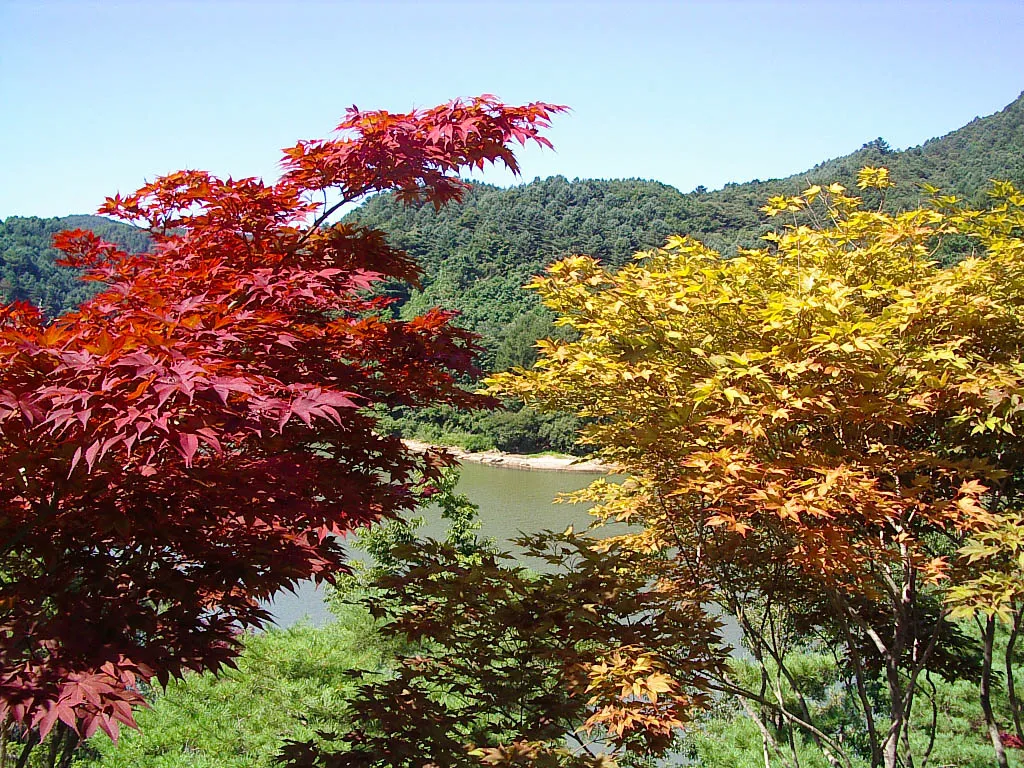 2003년 8월 14일 촬영된 경기도 가평군 청평호 전경