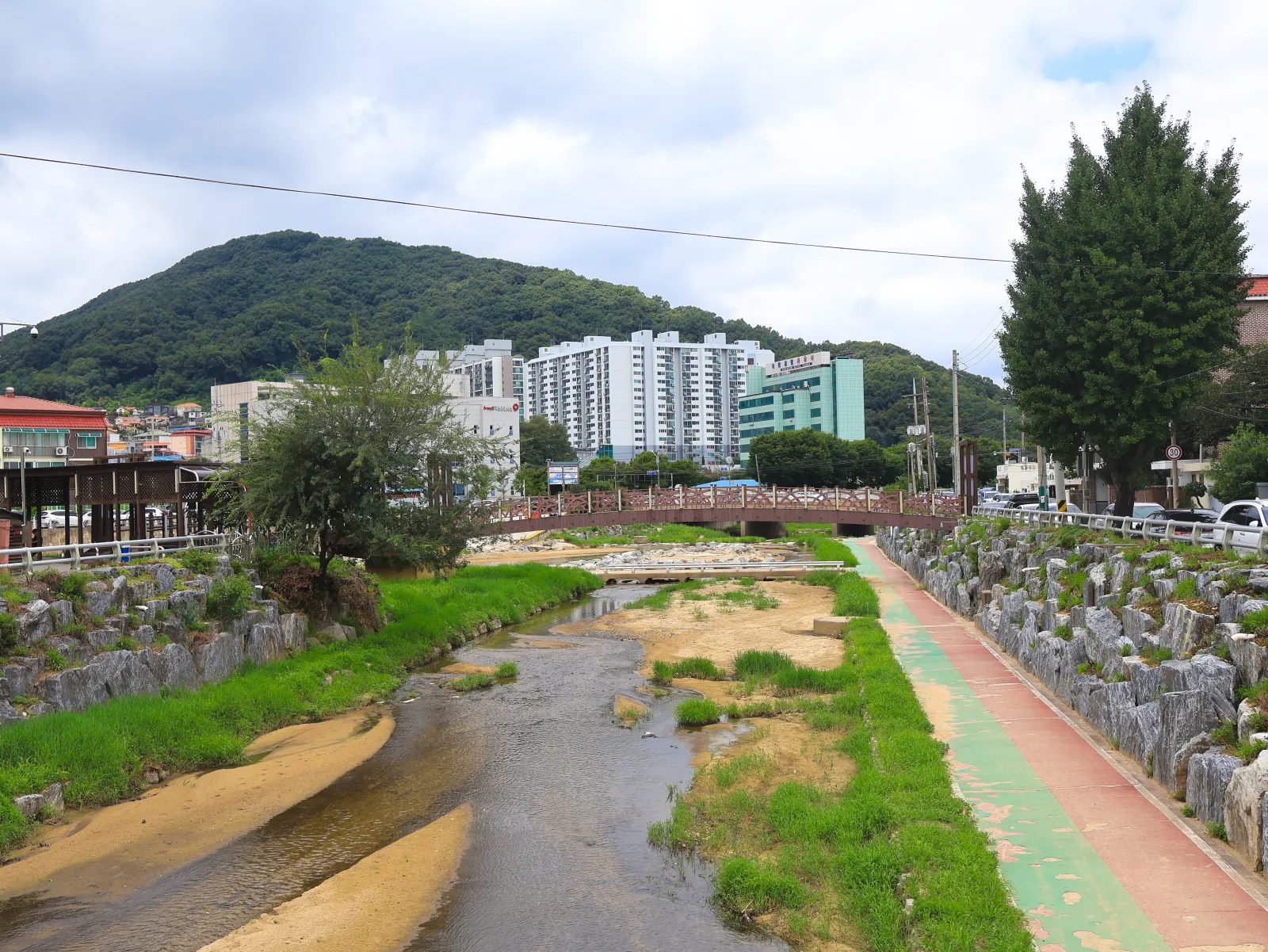 충청북도 옥천군 옥천읍 금구천과 다리, 주변 건물과 녹음이 보이는 전경