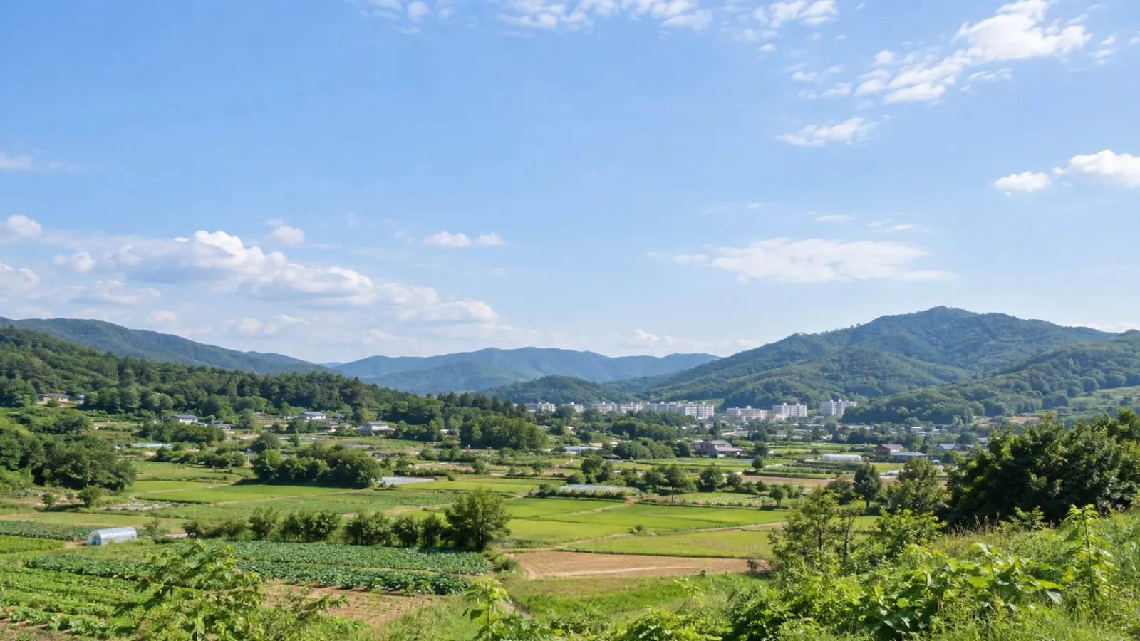 충청남도 천안시 동남구의 산지·농촌·주거지 특성을 참고해 만든 가상 풍경의 AI 분위기 이미지입니다. 실제 지역이나 학교·학원 건물을 촬영한 사진이 아닙니다.