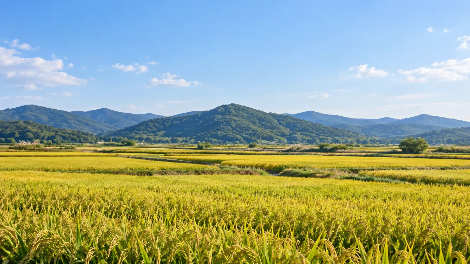 충청남도 예산군의 평야와 논, 산지 특성을 참고해 만든 가상 농촌 풍경. 실제 사진이 아닌 AI 생성 지역 분위기 이미지입니다.