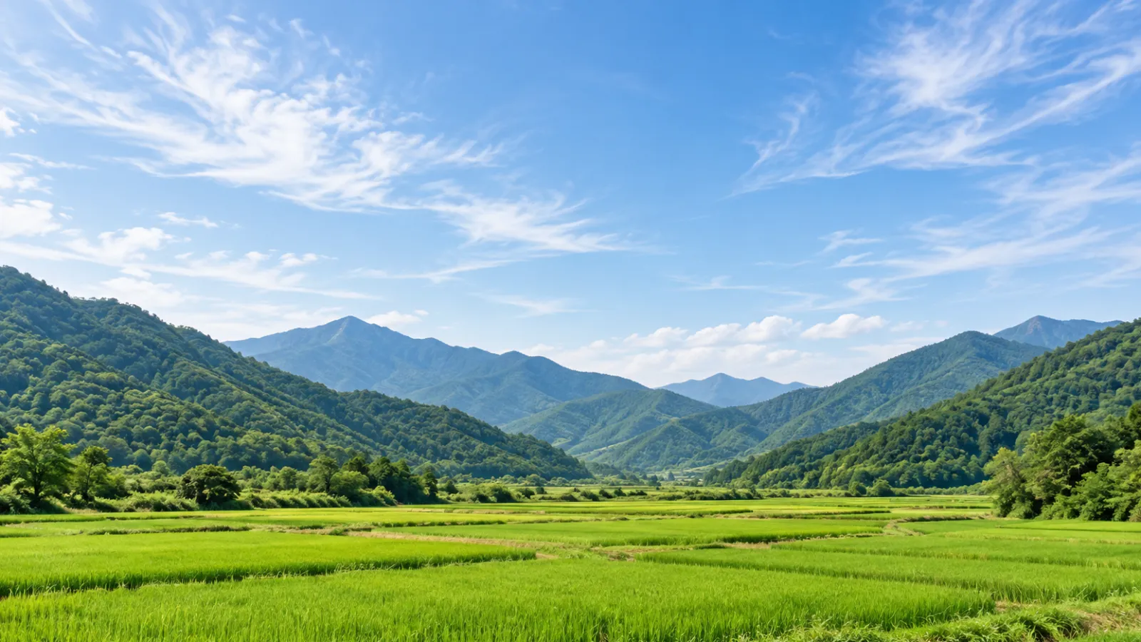 전라남도 화순군의 산지와 논농사 지형을 참고해 AI로 생성한 지역 분위기 이미지. 숲이 우거진 산과 푸른 논, 넓은 하늘을 표현한 가상 풍경으로 실제 장소나 학교·학원 건물의 사진이 아닙니다.