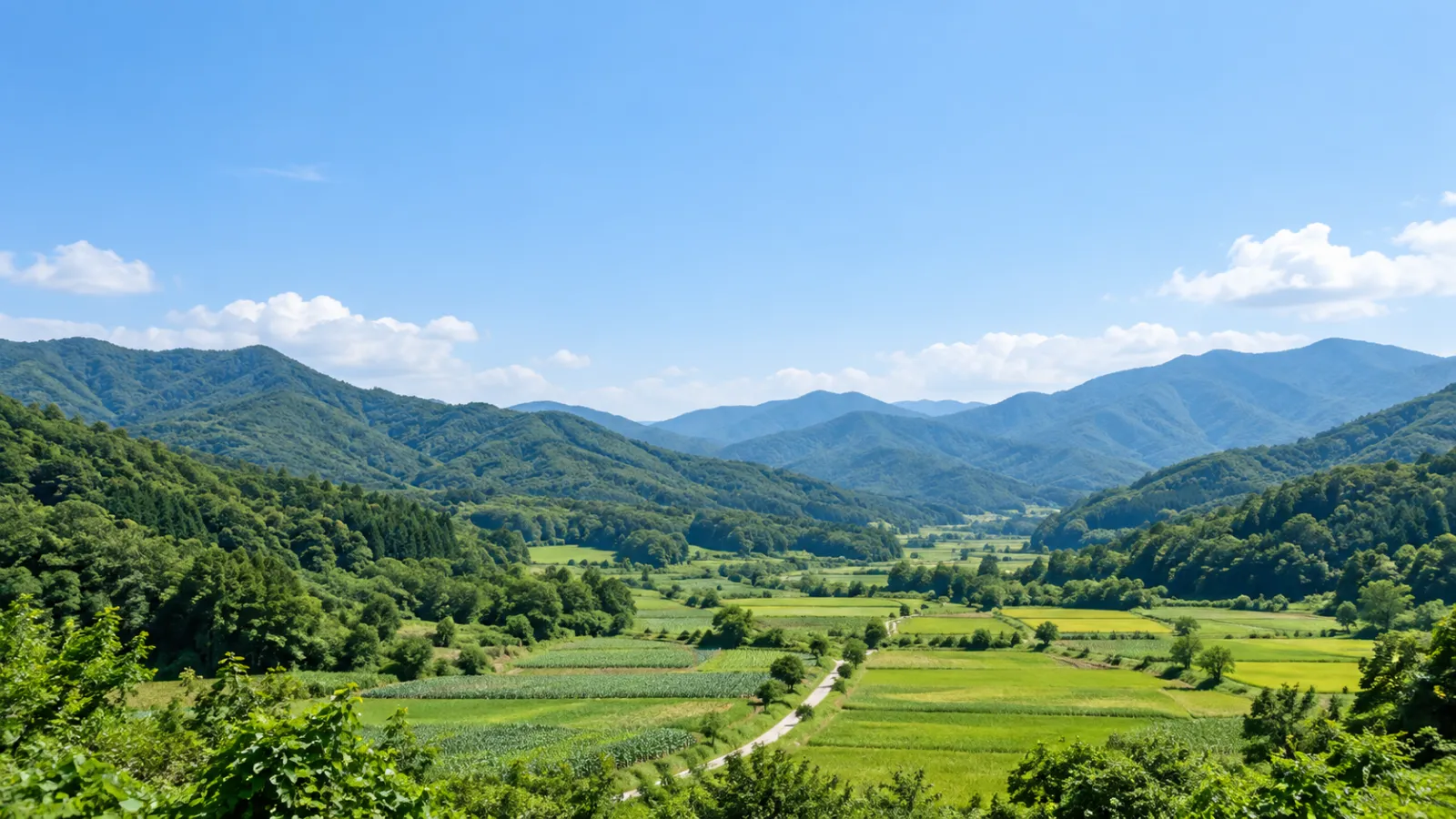 충청남도 청양군의 산림과 분지형 농경지 특성을 참고해 만든 가상 농촌 풍경. 실제 지역이나 학교·학원 건물을 촬영한 사진이 아닌 AI 생성 분위기 이미지입니다.