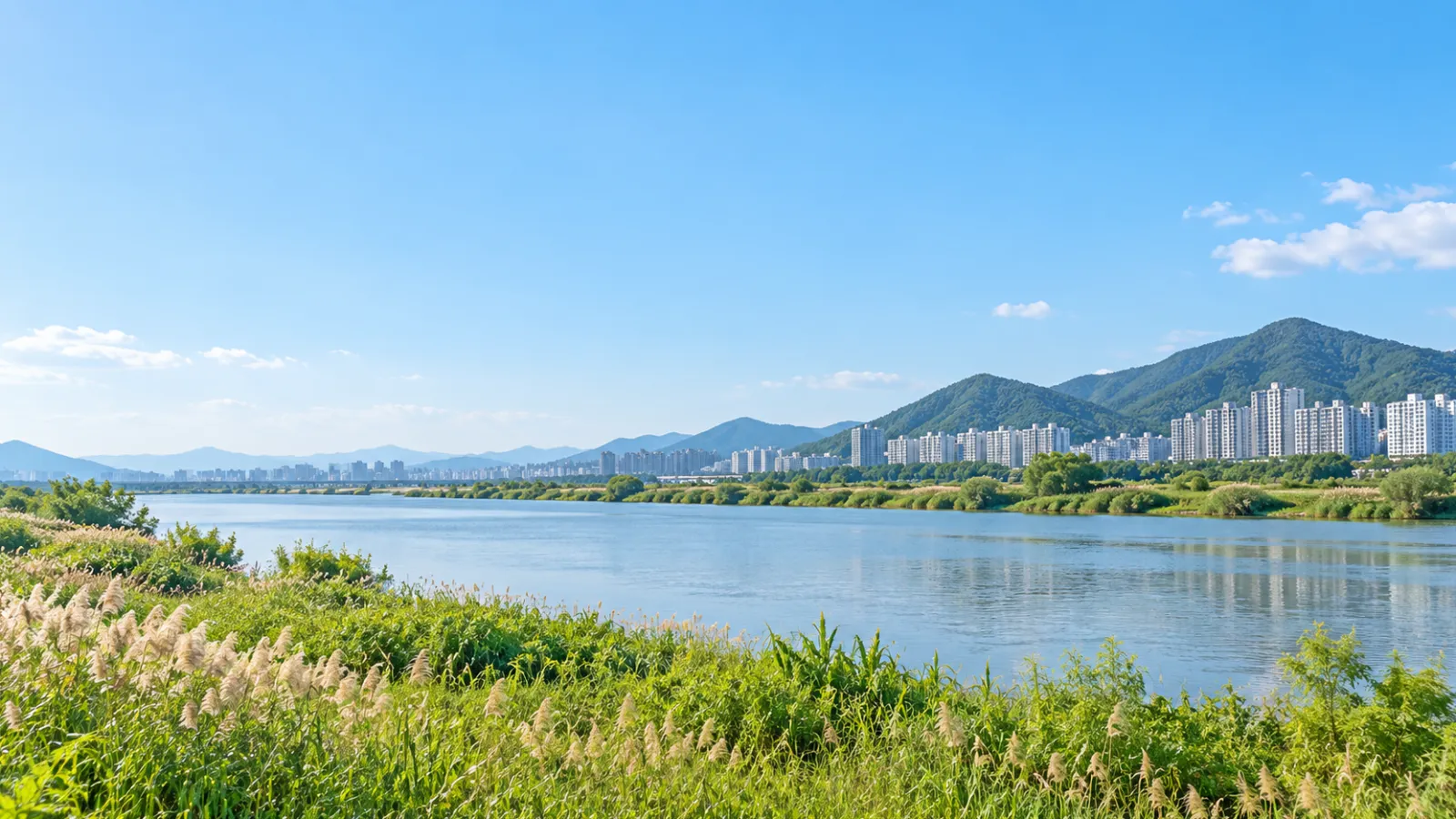 부산광역시 사상구의 낙동강변 갈대와 녹지, 산자락 도시 풍경의 지리 특성을 참고해 만든 가상 장면으로, 실제 사진이 아닌 AI 지역 분위기 이미지입니다.