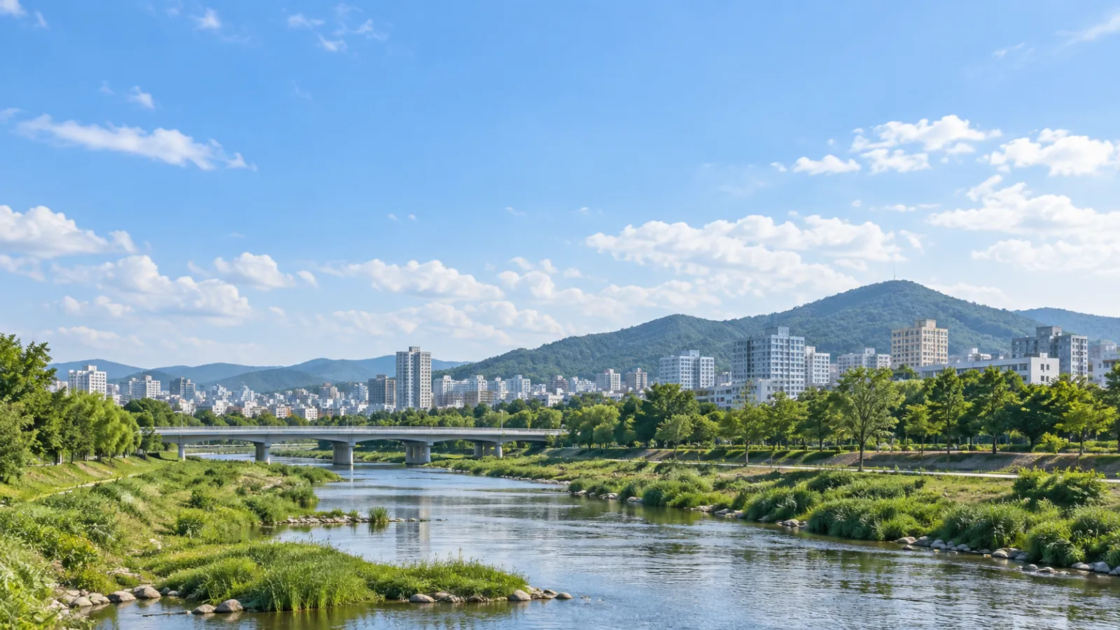 대전광역시 중구의 산과 구릉, 하천 주변 도심 지리 특성을 참고하여 만든 실사 느낌의 가상 풍경. 실제 장소나 학교·학원 건물의 사진이 아닌 AI 생성 지역 분위기 이미지.