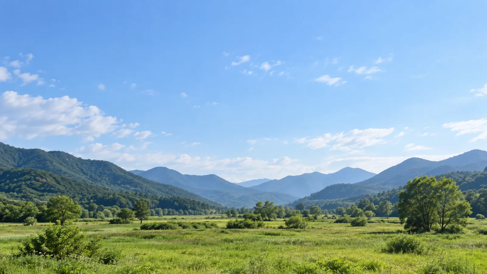 경기도 포천시의 산과 평야가 어우러진 지형을 참고하여 만든 AI 분위기 이미지. 밝은 자연광 아래 녹지와 산 능선, 넓은 하늘을 담은 가상 장면으로 실제 장소나 학교·학원의 사진이 아닙니다.