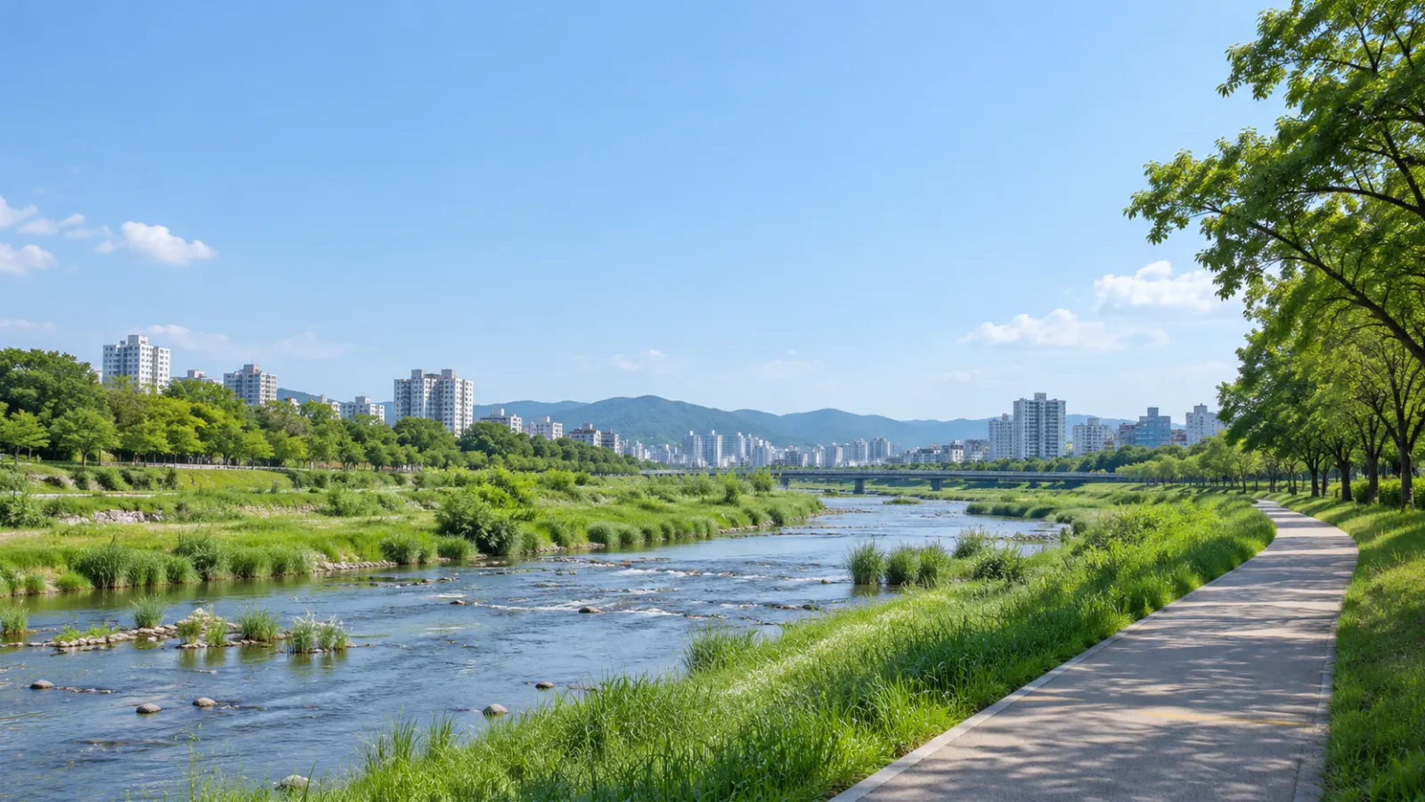 충청북도 청주시 무심천의 도심 하천 특성을 참고해 만든 가상의 하천·녹지·도시 풍경. 실제 장소나 학교·학원 건물을 촬영한 사진이 아닌 AI 생성 지역 분위기 이미지.