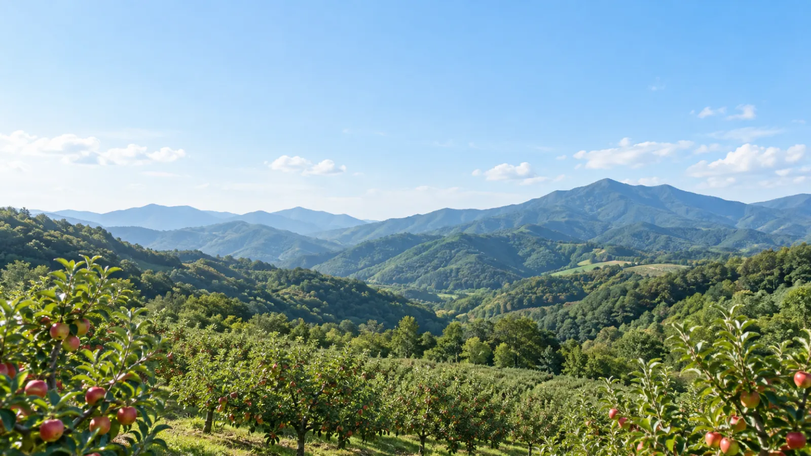 경상북도 영주시의 소백산 남쪽 산지와 사과 과원 특성을 참고해 만든 가상 풍경으로, 실제 장소를 촬영한 사진이 아닌 AI 생성 지역 분위기 이미지입니다.