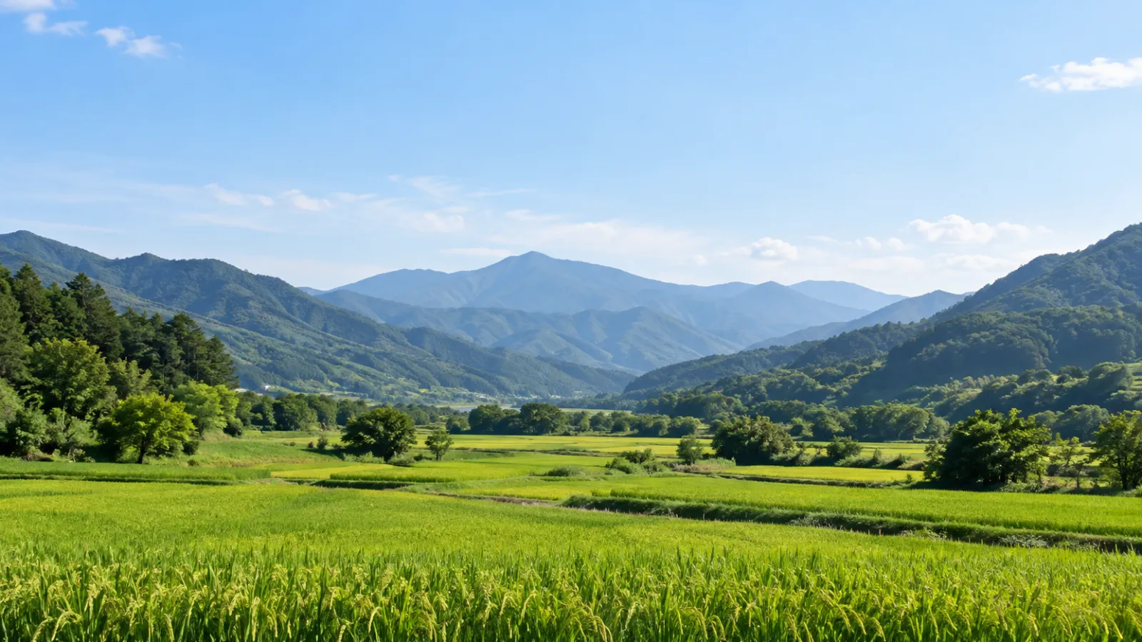 경상남도 함양군의 산지와 농경지 특성을 참고해 만든 AI 지역 분위기 이미지. 자연광 아래 산 능선과 푸른 들판을 담은 가상 장면이며 실제 지역이나 학교·학원을 촬영한 사진이 아닙니다.