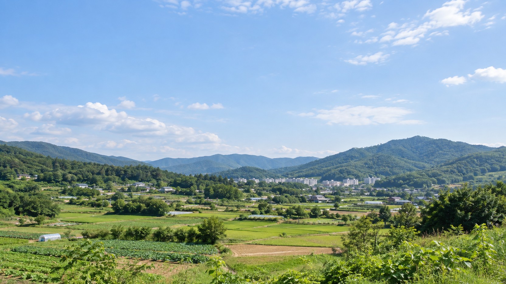 충청남도 천안시 동남구의 산지·농촌·주거지 특성을 참고해 만든 가상 풍경의 AI 분위기 이미지입니다. 실제 지역이나 학교·학원 건물을 촬영한 사진이 아닙니다.