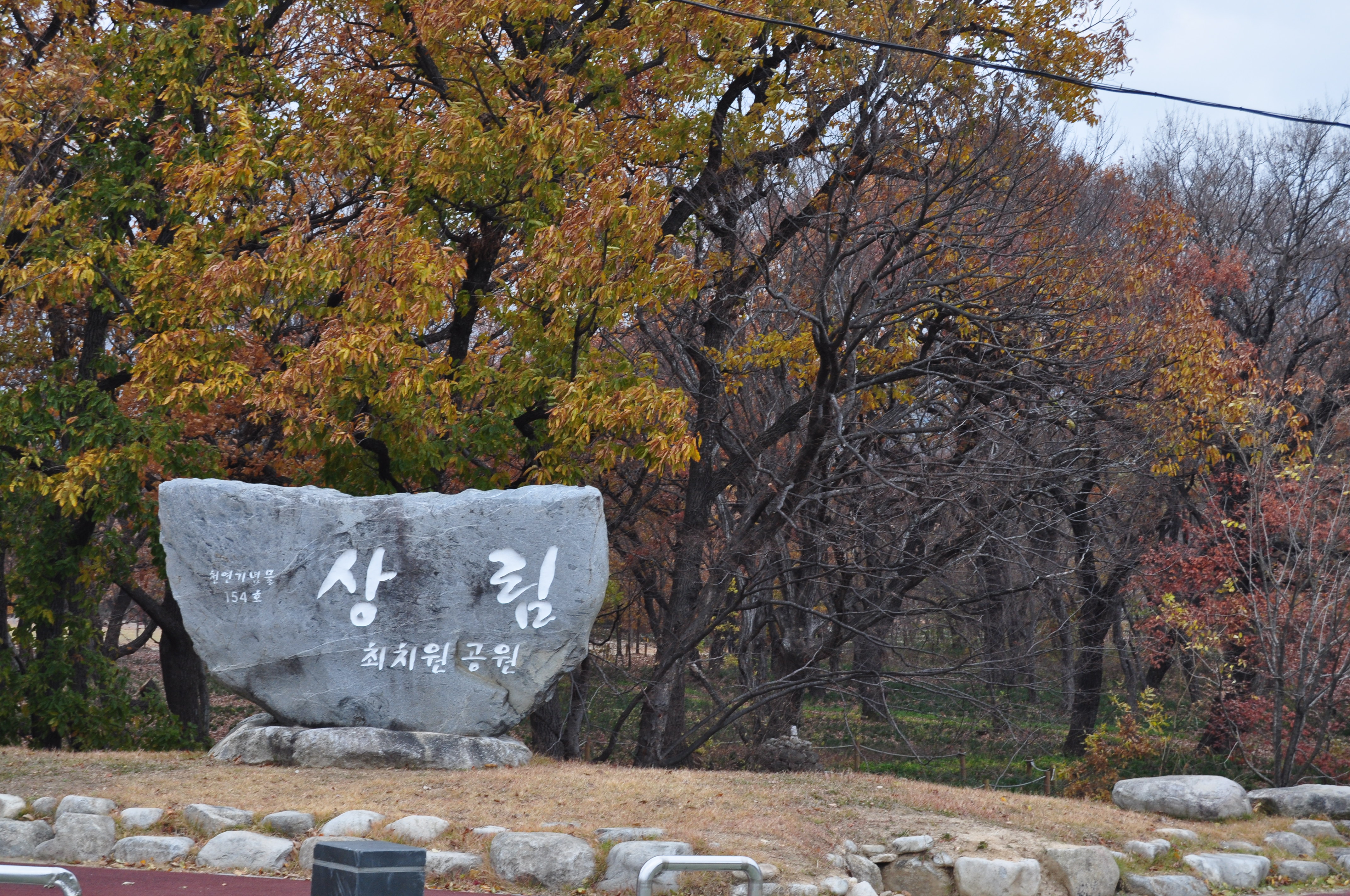 경상남도 함양군 상림의 경관
