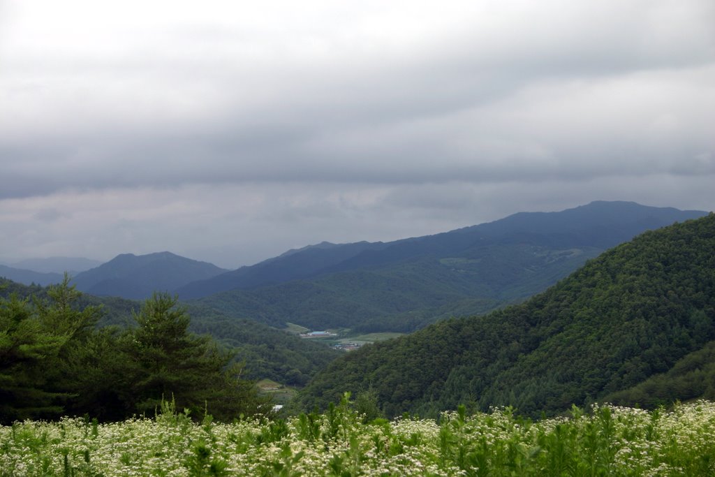 경상북도 봉화군 남면리 청량산의 녹색 산자락과 흐린 하늘 전경