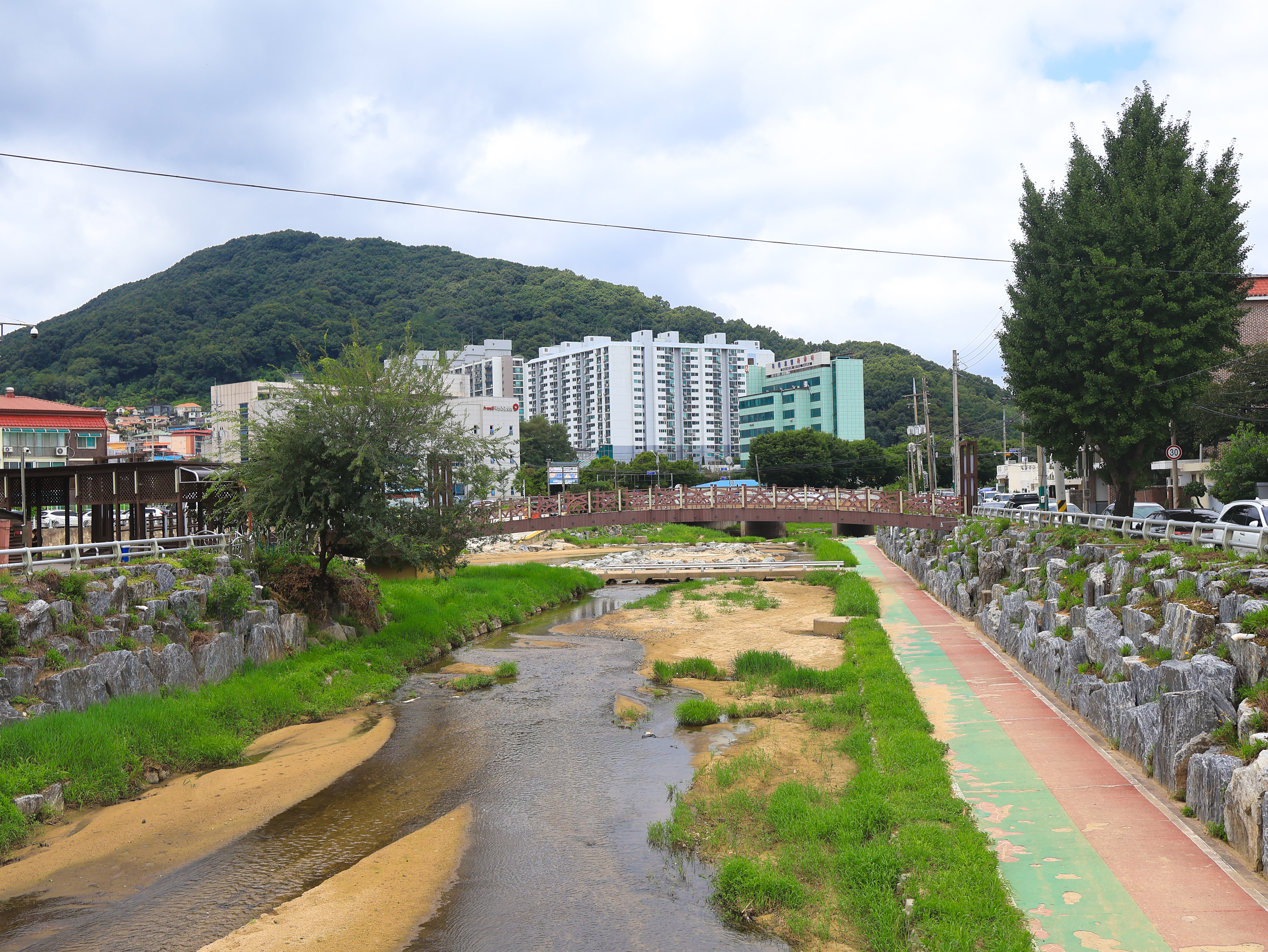 충청북도 옥천군 옥천읍 금구천과 다리, 주변 건물과 녹음이 보이는 전경