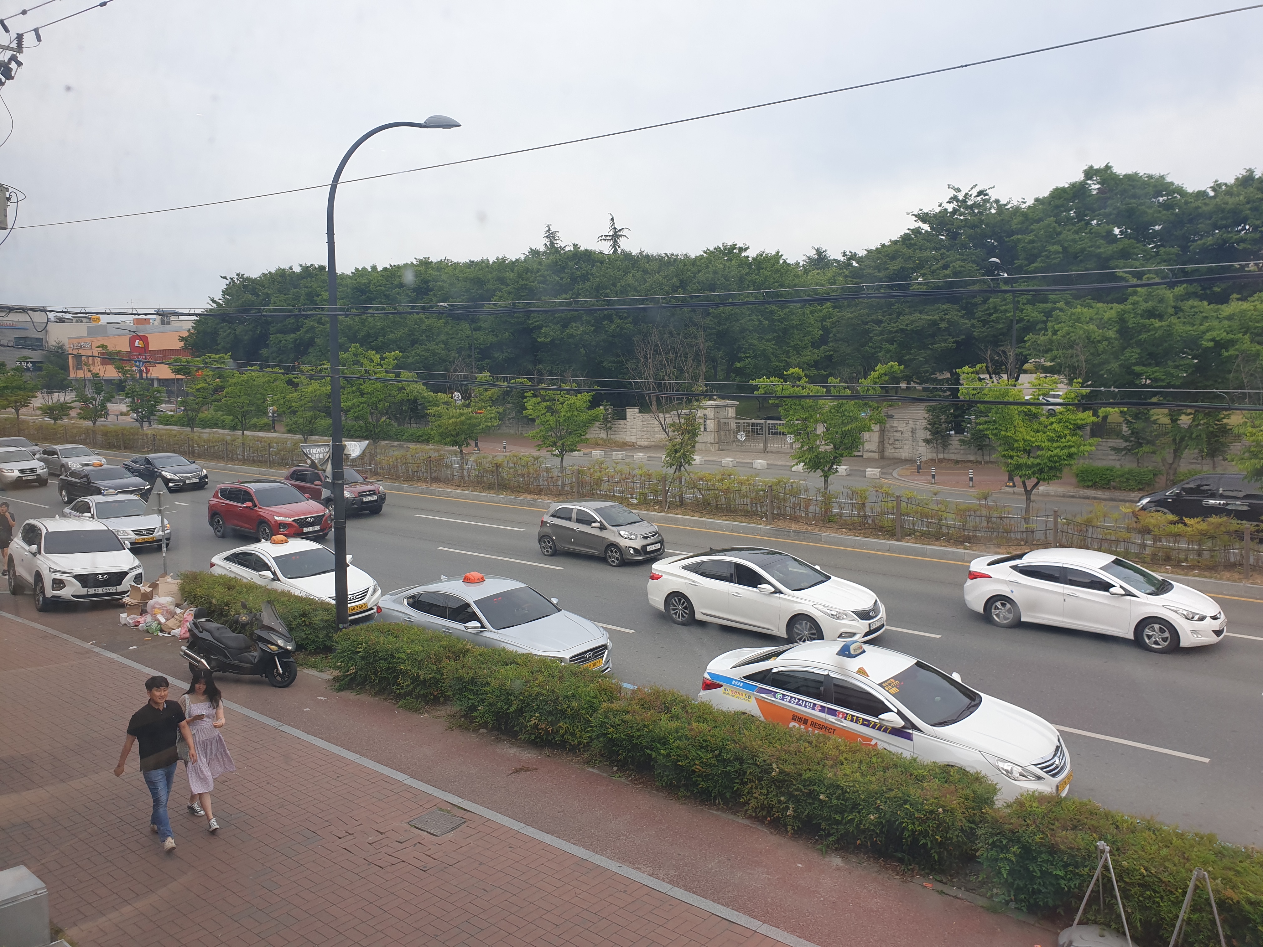 2019년 6월 1일 촬영한 경상북도 경산시 대학로 거리 전경