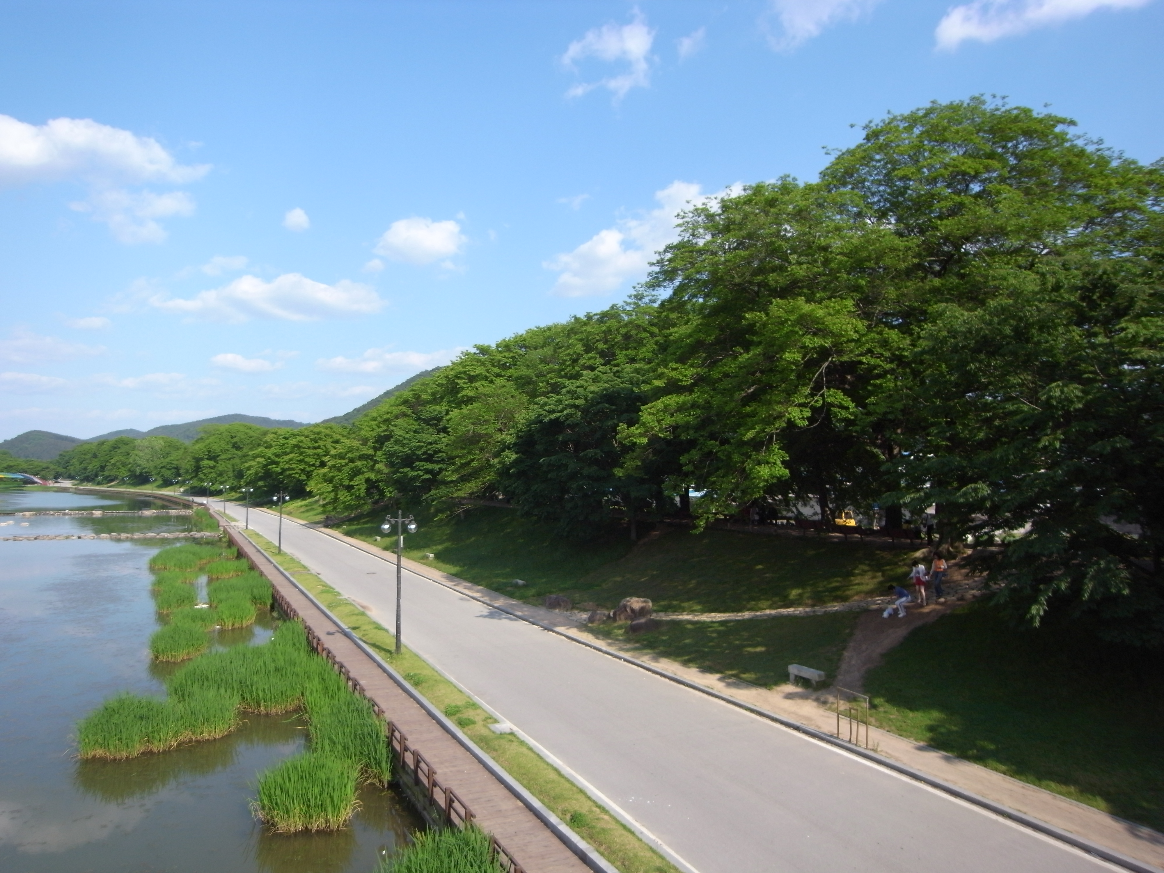 전라남도 담양군 관방제림의 경관, 2010년 6월 1일 촬영
